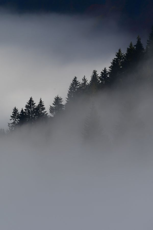 Śnieżka 3