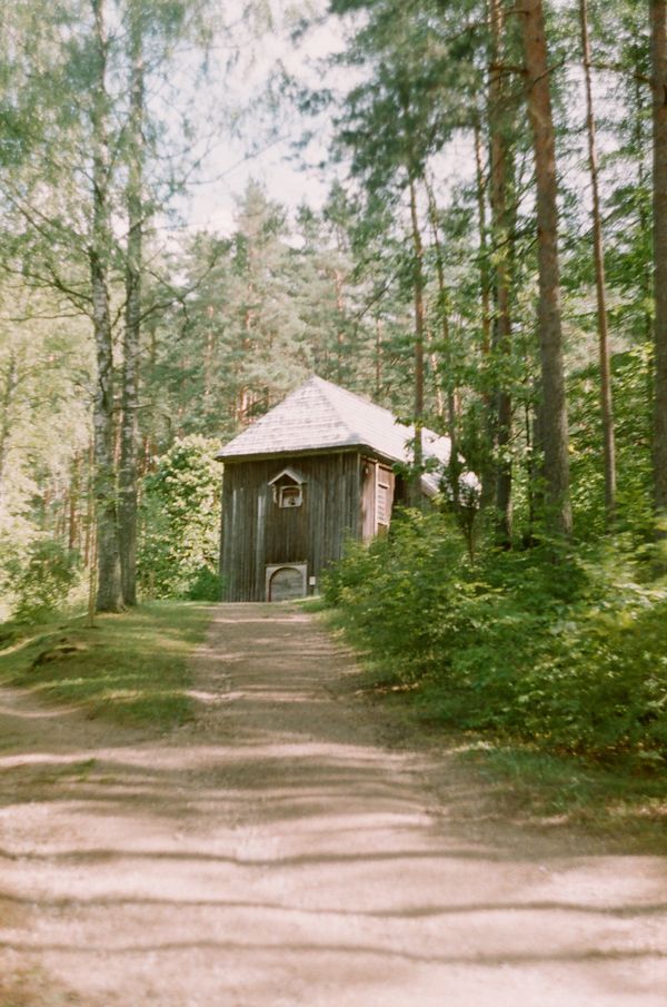 Bór 2
